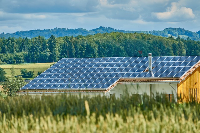Begrünung und Solartechnik auf dem Hausdach