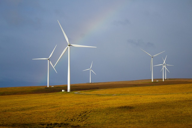 Windparks für die erneuerbare Energien